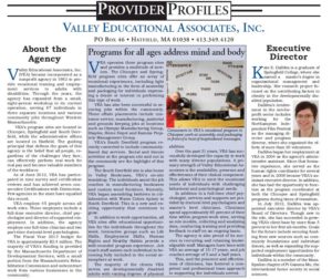 provider article