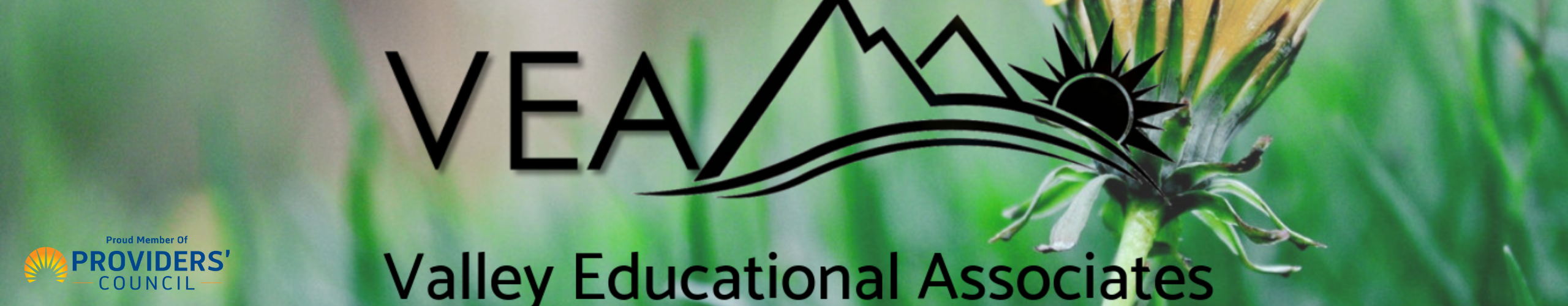 Valley Educational Associates